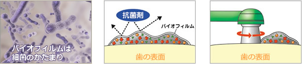 バイオフィルム